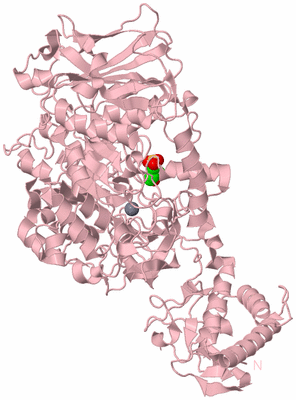 Image Biological Unit 3