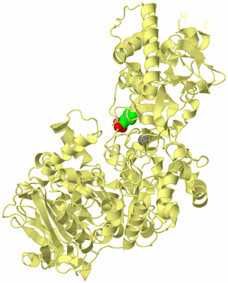 Image Biological Unit 4