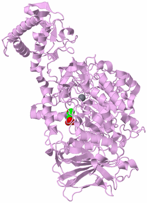 Image Biological Unit 5