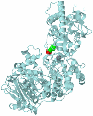 Image Biological Unit 6