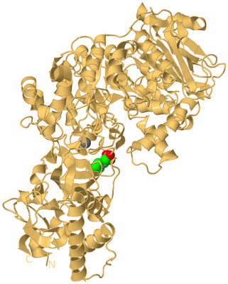 Image Biological Unit 7