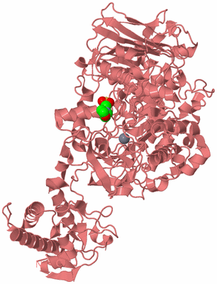 Image Biological Unit 8