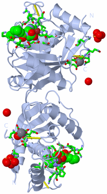 Image Biol. Unit 1 - sites