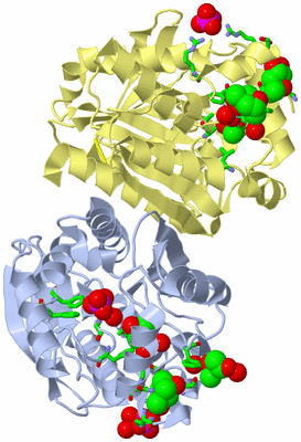 Image Biol. Unit 1 - sites