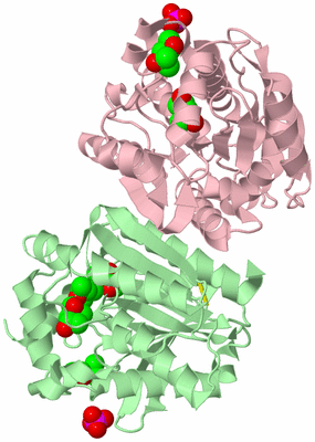 Image Biological Unit 2