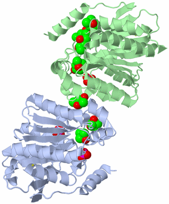 Image Biological Unit 3