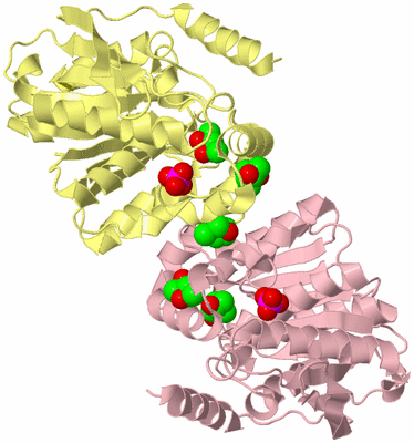 Image Biological Unit 4