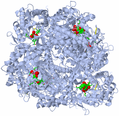 Image Biol. Unit 1 - sites