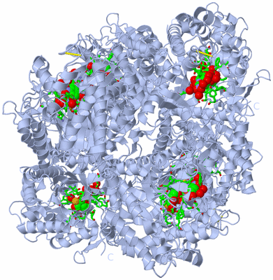 Image Biol. Unit 1 - sites