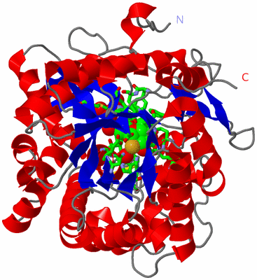 Image Asym. Unit - sites