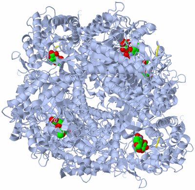 Image Biological Unit 1