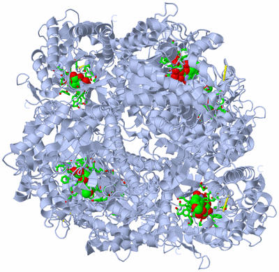 Image Biol. Unit 1 - sites