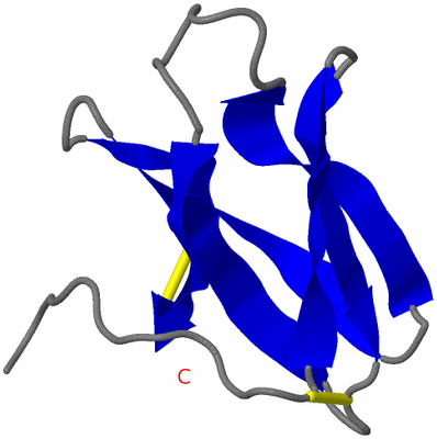 Image NMR Structure - all models