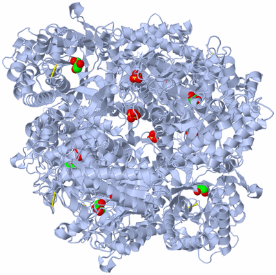 Image Biological Unit 1