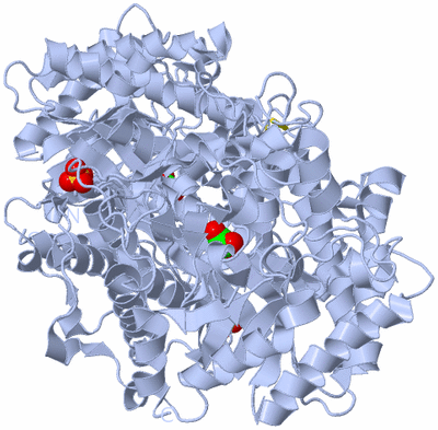 Image Biological Unit 2