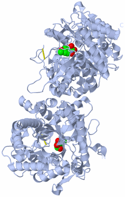 Image Biological Unit 2