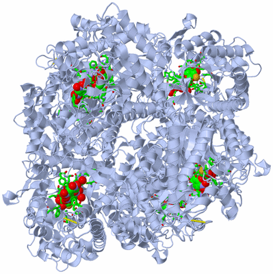 Image Biol. Unit 1 - sites