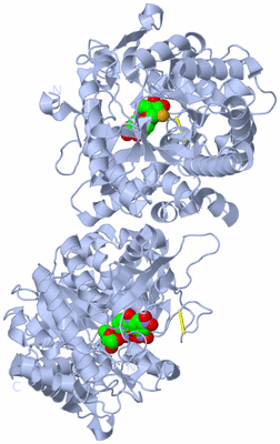 Image Biological Unit 2