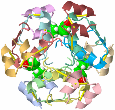 Image NMR Structure - model 1