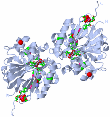 Image Biol. Unit 1 - sites