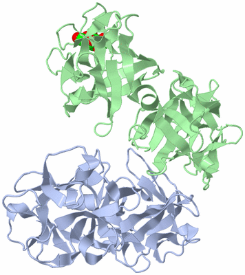 Image Biological Unit 3