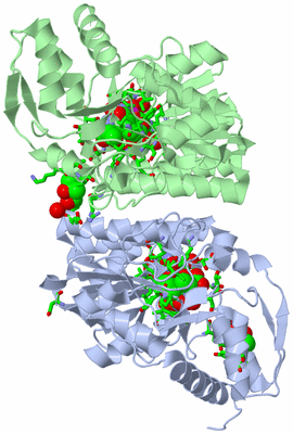 Image Asym./Biol. Unit - sites