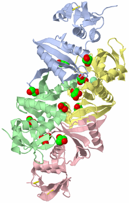 Image Asym./Biol. Unit