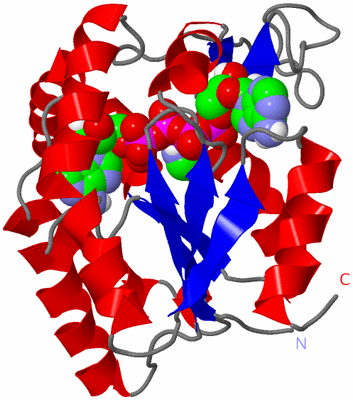 Image Asym./Biol. Unit