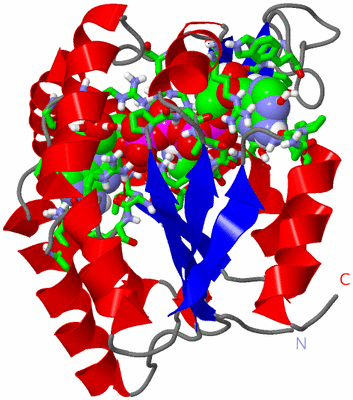 Image Asym./Biol. Unit - sites