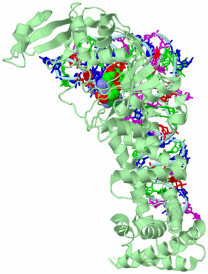 Image Biological Unit 1