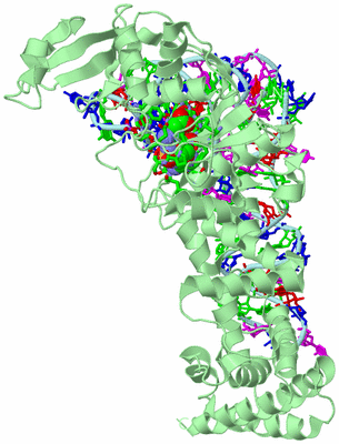 Image Biol. Unit 1 - sites