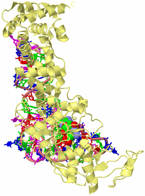 Image Biological Unit 2