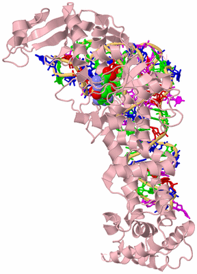 Image Biological Unit 3