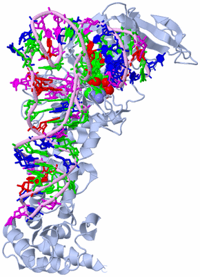 Image Biological Unit 4