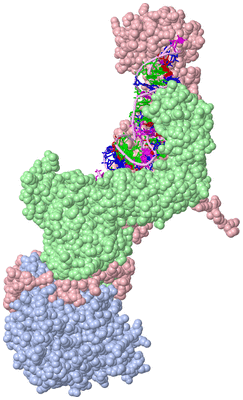 Image Asym./Biol. Unit