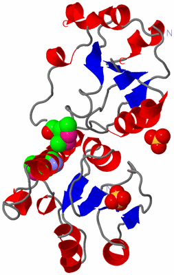 Image Asym./Biol. Unit