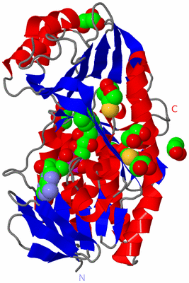 Image Asym./Biol. Unit