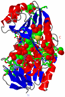 Image Asym./Biol. Unit - sites