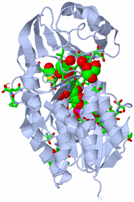 Image Biol. Unit 1 - sites