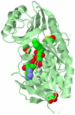 Image Biological Unit 2