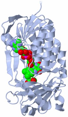 Image Biological Unit 1