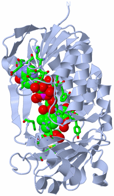 Image Biol. Unit 1 - sites