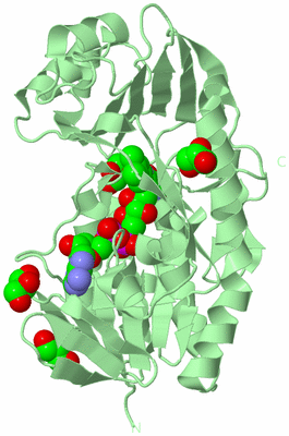 Image Biological Unit 2