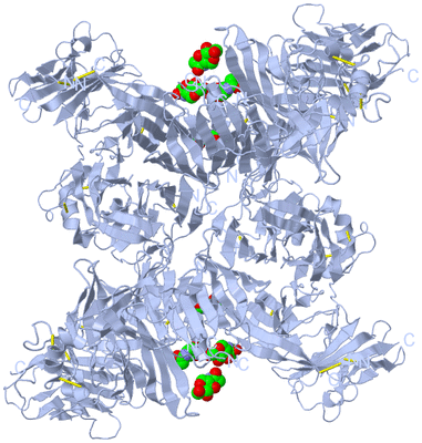 Image Biological Unit 1