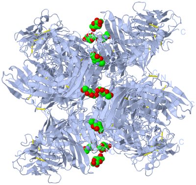 Image Biological Unit 2