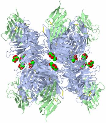 Image Biological Unit 2