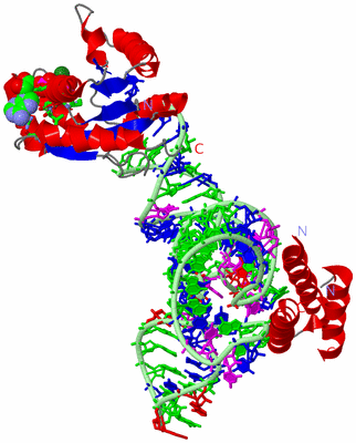 Image Asym. Unit - sites