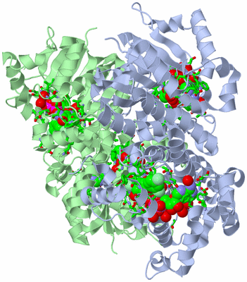 Image Biol. Unit 1 - sites