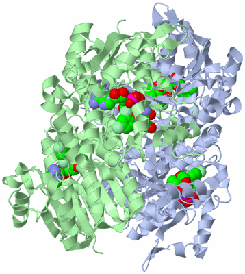 Image Biological Unit 1