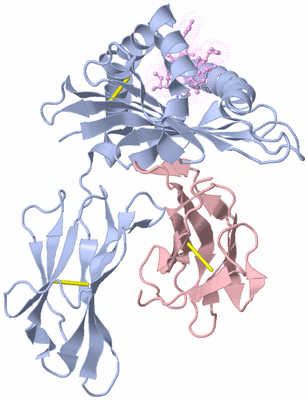 Image Biological Unit 1